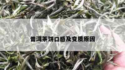 普洱茶饼口感及变质原因