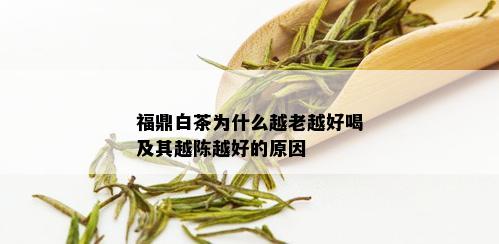 福鼎白茶为什么越老越好喝及其越陈越好的原因