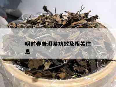 明前春普洱茶功效及相关信息