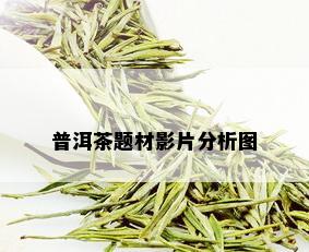 普洱茶题材影片分析图