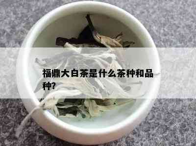 福鼎大白茶是什么茶种和品种？