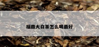 福鼎大白茶怎么喝更好