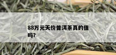 88万元天价普洱茶真的值吗？