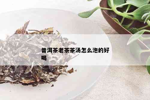 普洱茶老茶茶汤怎么泡的好喝