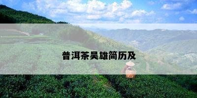 普洱茶吴雄简历及