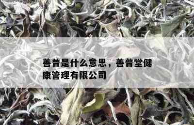 善普是什么意思，善普堂健康管理有限公司