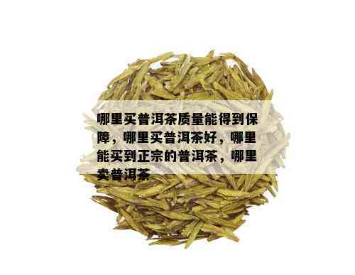 哪里买普洱茶质量能得到保障，哪里买普洱茶好，哪里能买到正宗的普洱茶，哪里卖普洱茶