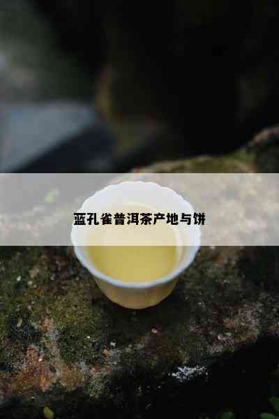 蓝孔雀普洱茶产地与饼