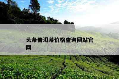 头条普洱茶价格查询网站官网