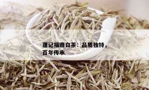 蓬记福鼎白茶：品质独特，百年传承