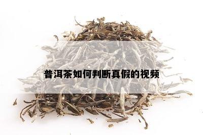 普洱茶如何判断真假的视频