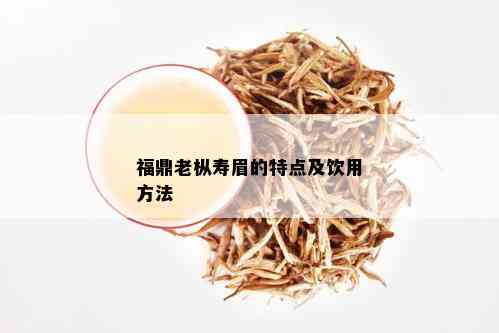 福鼎老枞寿眉的特点及饮用方法