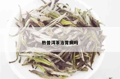 熟普洱茶治胃病吗