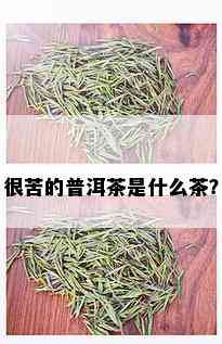 很苦的普洱茶是什么茶？