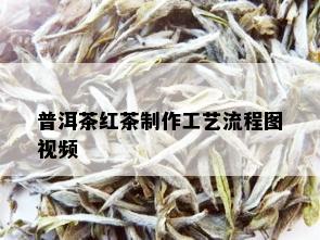 普洱茶红茶制作工艺流程图视频