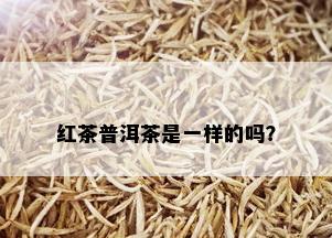 红茶普洱茶是一样的吗？