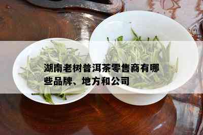 湖南老树普洱茶零售商有哪些品牌、地方和公司