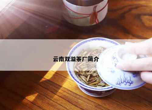 云南双溢茶厂简介