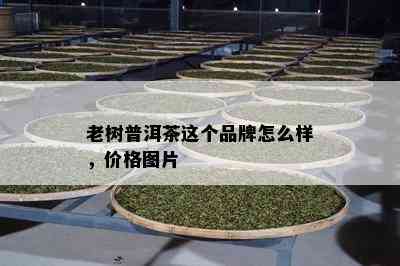 老树普洱茶这个品牌怎么样，价格图片