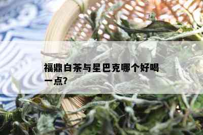 福鼎白茶与星巴克哪个好喝一点？