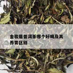 金骏眉普洱茶哪个好喝及其养胃区别