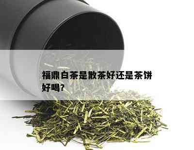 福鼎白茶是散茶好还是茶饼好喝？