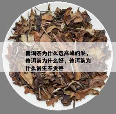 普洱茶为什么选高峰的呢，普洱茶为什么好，普洱茶为什么贵生不贵熟