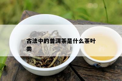 古法中的普洱茶是什么茶叶类