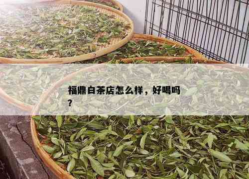 福鼎白茶店怎么样，好喝吗？