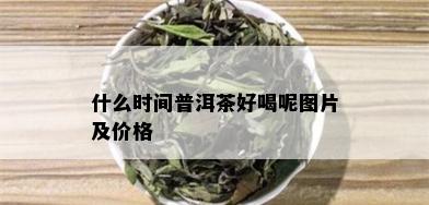 什么时间普洱茶好喝呢图片及价格