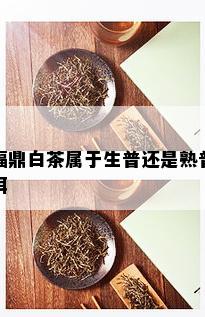 福鼎白茶属于生普还是熟普洱