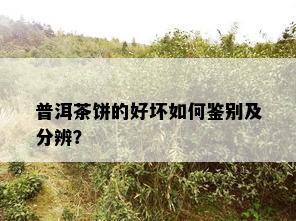 普洱茶饼的好坏如何鉴别及分辨？