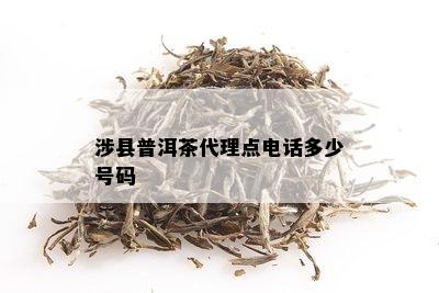 涉县普洱茶代理点电话多少号码