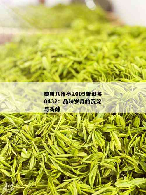 黎明八角亭2009普洱茶0432：品味岁月的沉淀与香醇