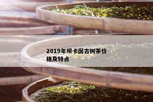 2019年坝卡囡古树茶价格及特点