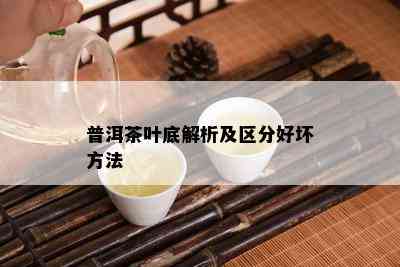 普洱茶叶底解析及区分好坏方法