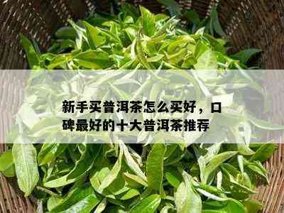 新手买普洱茶怎么买好，口碑更好的十大普洱茶推荐