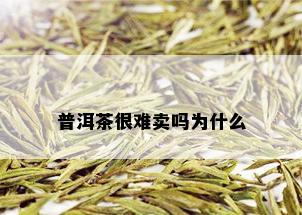 普洱茶很难卖吗为什么