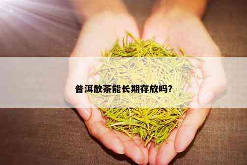 普洱散茶能长期存放吗？