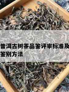 普洱古树茶品鉴评审标准及鉴别方法