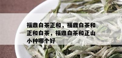 福鼎白茶正和，福鼎白茶和正和白茶，福鼎白茶和正山小种哪个好