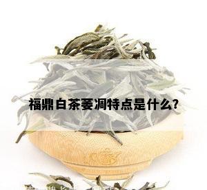 福鼎白茶萎凋特点是什么？