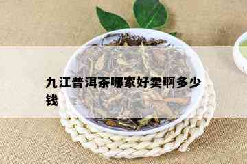 九江普洱茶哪家好卖啊多少钱