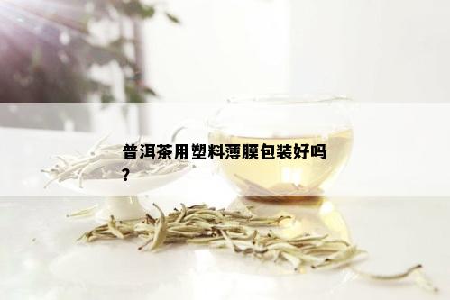 普洱茶用塑料薄膜包装好吗？