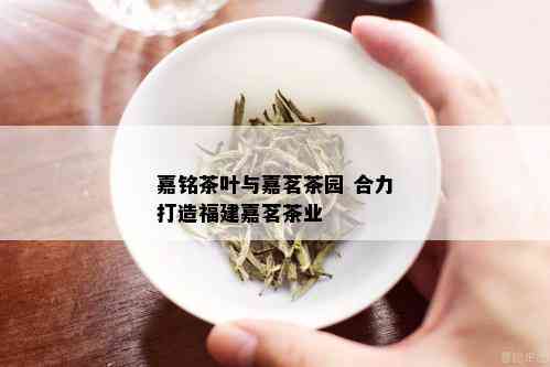 嘉铭茶叶与嘉茗茶园 合力打造福建嘉茗茶业