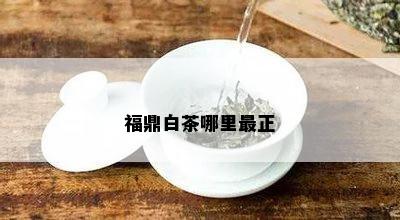 福鼎白茶哪里最正