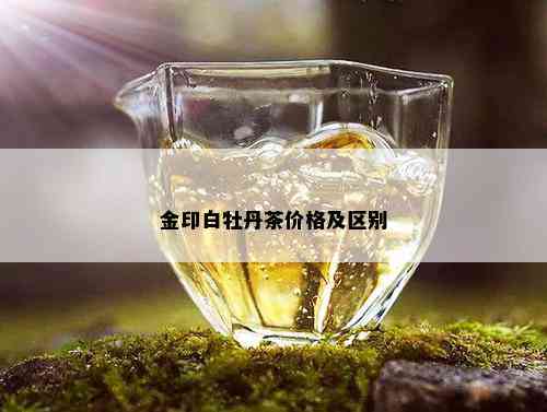 金印白牡丹茶价格及区别