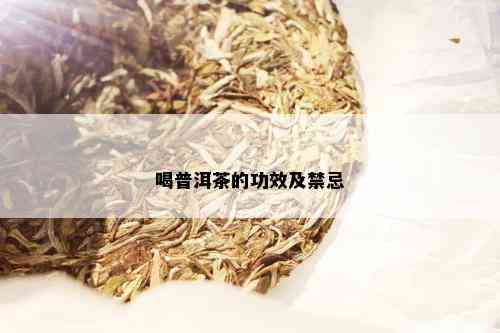 喝普洱茶的功效及禁忌