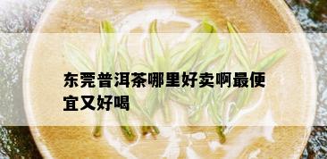 东莞普洱茶哪里好卖啊更便宜又好喝