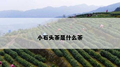 小石头茶是什么茶